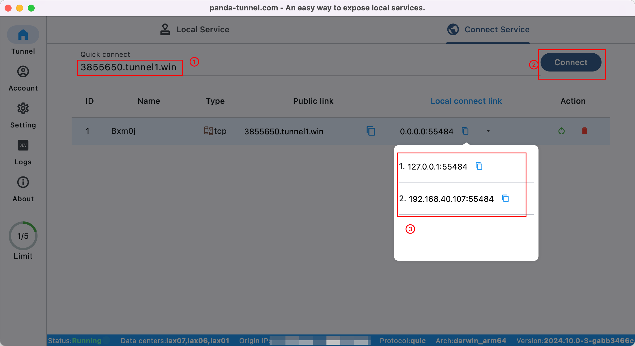 Panda Tunnel  TCP or UDP service connection